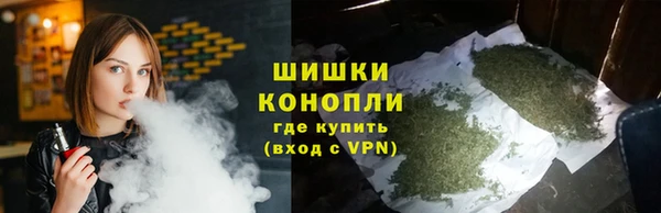 ГАЛЛЮЦИНОГЕННЫЕ ГРИБЫ Баксан