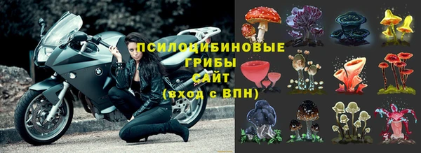 ГАЛЛЮЦИНОГЕННЫЕ ГРИБЫ Баксан