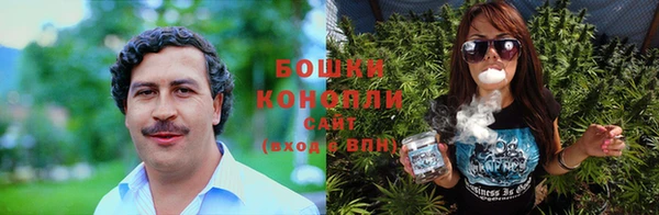ГАЛЛЮЦИНОГЕННЫЕ ГРИБЫ Баксан